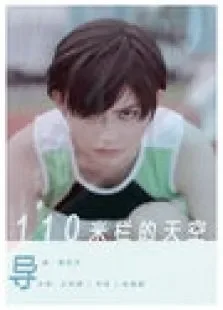 美好2012:110米栏的天空电影海报