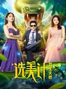 选美计双生天娇电影海报