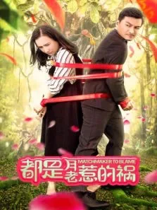 都是月老惹的祸电影海报