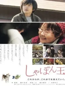 我的归属之地电影海报