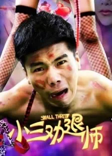 小三劝退师电影海报