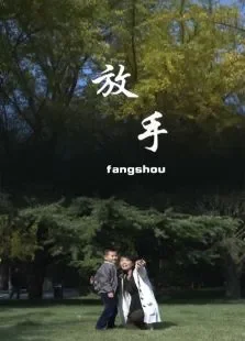 放手电影海报