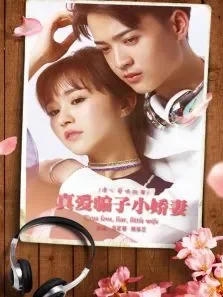 真爱骗子小娇妻电影海报