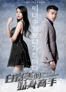 白富美的贴身高手电影海报