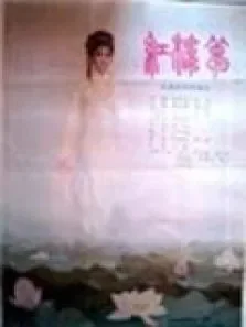 红楼梦第5季电影海报