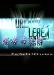 痛苦抉择电影海报