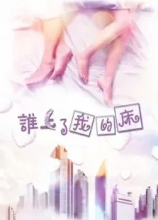 谁上了我的床电影海报