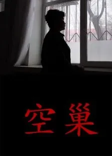 空巢电影海报