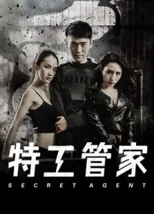 特工管家电影海报