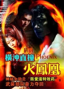 横冲直撞火凤凰电影海报