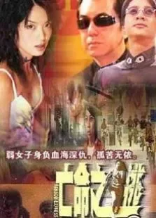 亡命之逃电影海报