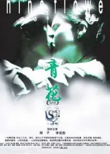 青花电影海报