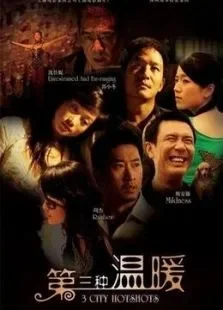 第三种温暖电影海报