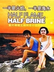 一半是火焰一半是海水电影海报