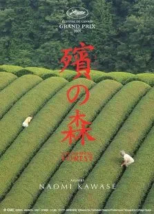 原木之森电影海报