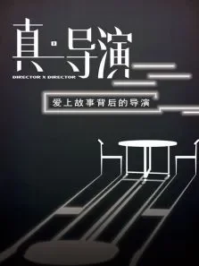 真·导演电影海报