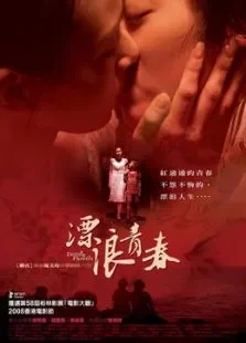 漂浪青春电影海报
