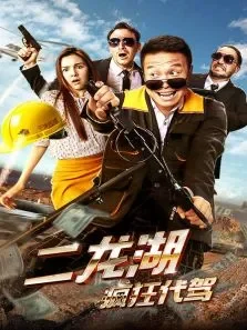 二龙湖疯狂代驾电影海报