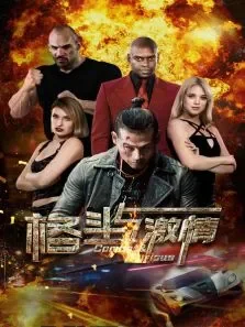 格斗与激情电影海报