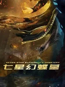 七星幻蝶墓电影海报
