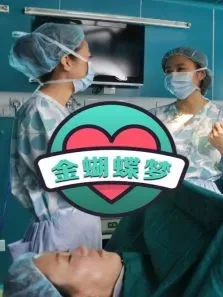 金蝴蝶梦电影海报