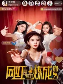 网红是怎样炼成的电影海报