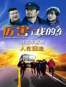 厉害了我的车电影海报