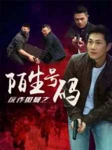 反诈风暴之陌生号码电影海报