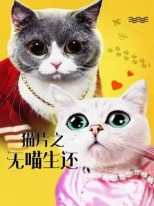 猫片之无喵生还电影海报