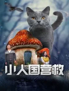 小人国营救电影海报