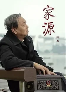 家源电影海报