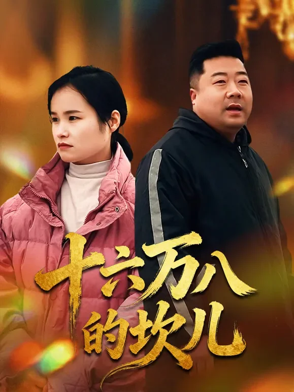 十六万八的坎儿短剧海报