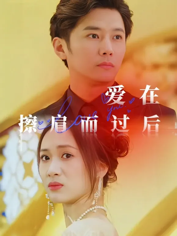爱在擦肩而过后短剧海报