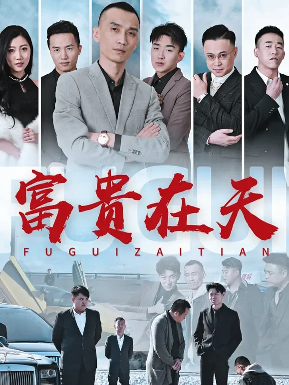 富贵在天短剧海报