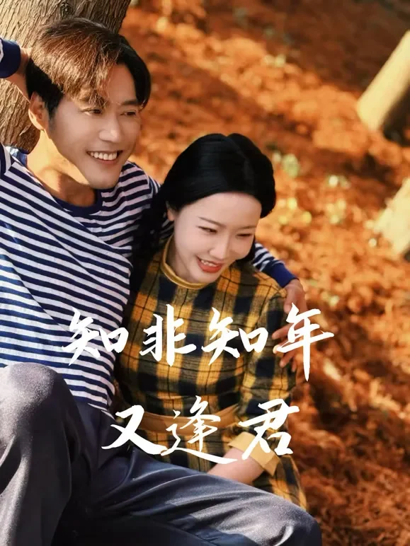 知非知年又逢君短剧海报