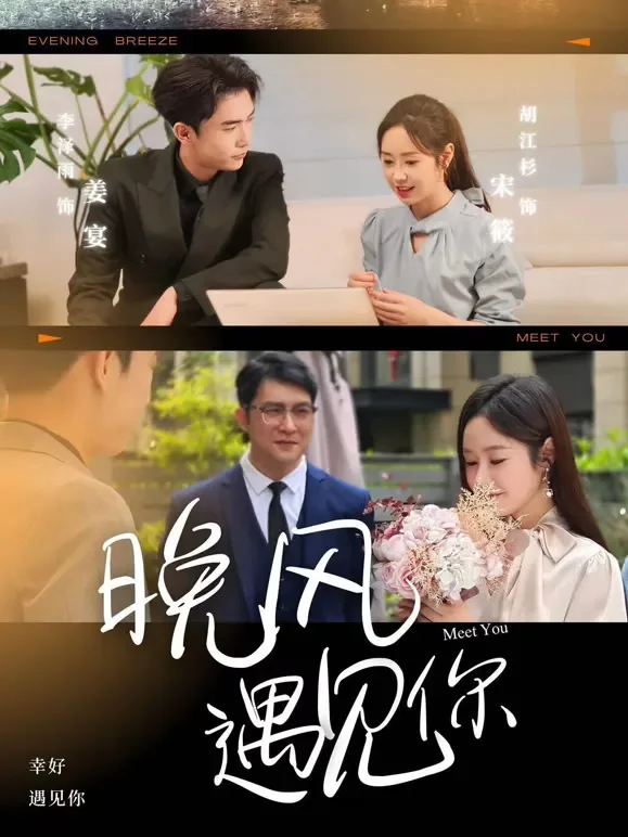 晚风遇见你短剧海报