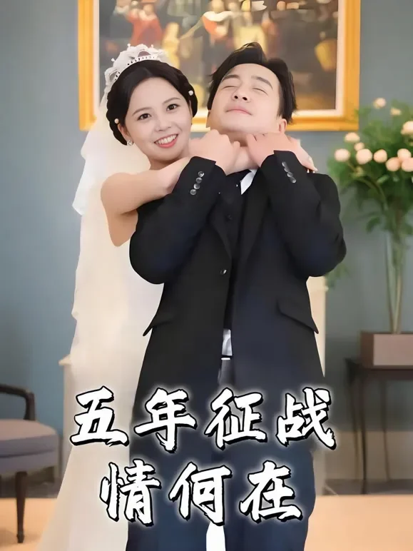 五年征战情何在短剧海报