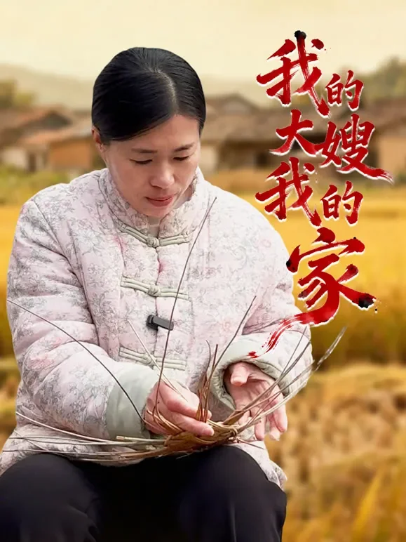 我的大嫂我的家短剧海报
