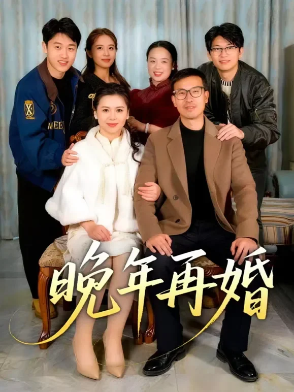 晚年再婚短剧海报