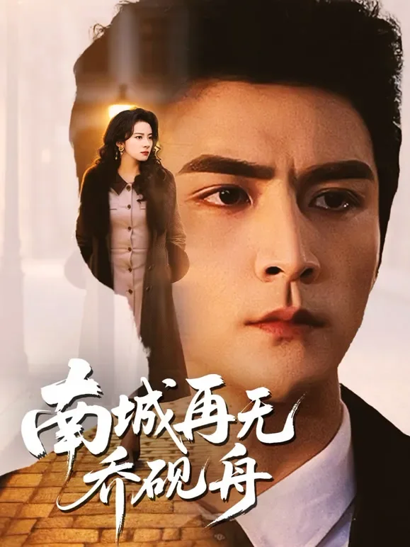 南城再无乔砚舟短剧海报