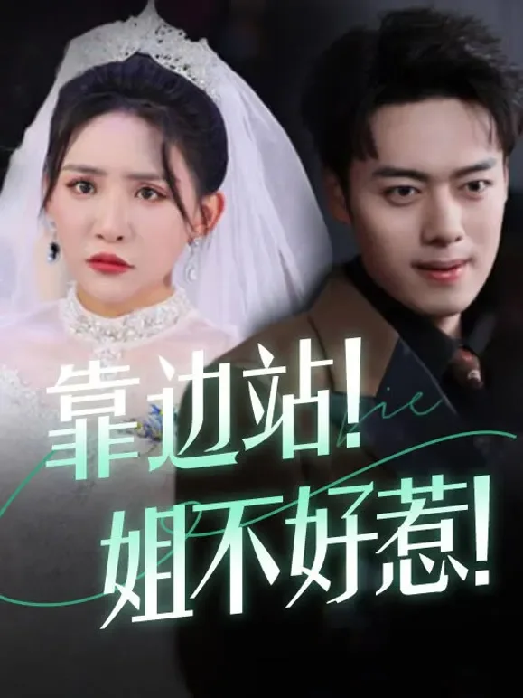 靠边站！姐不好惹短剧海报