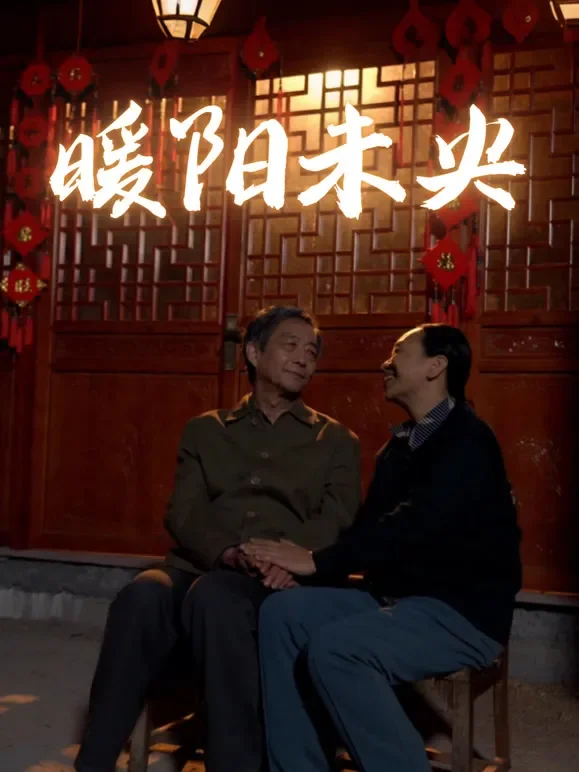 暖阳未央短剧海报