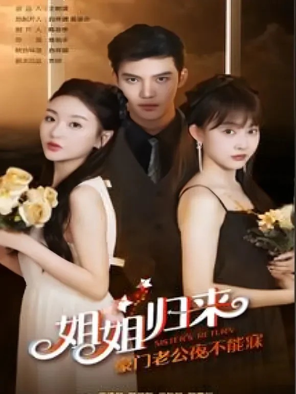 姐姐归来,名门老公夜难眠短剧海报