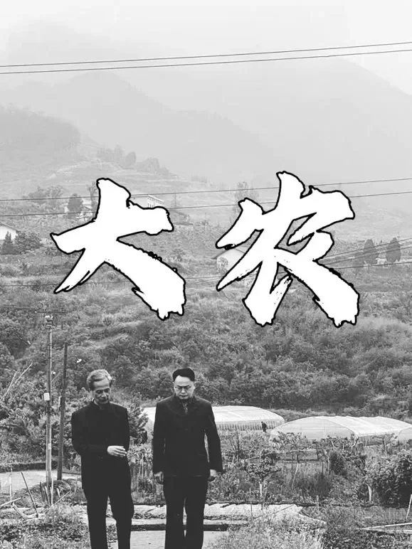 大农短剧海报