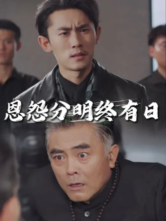 恩怨分明终有日短剧海报