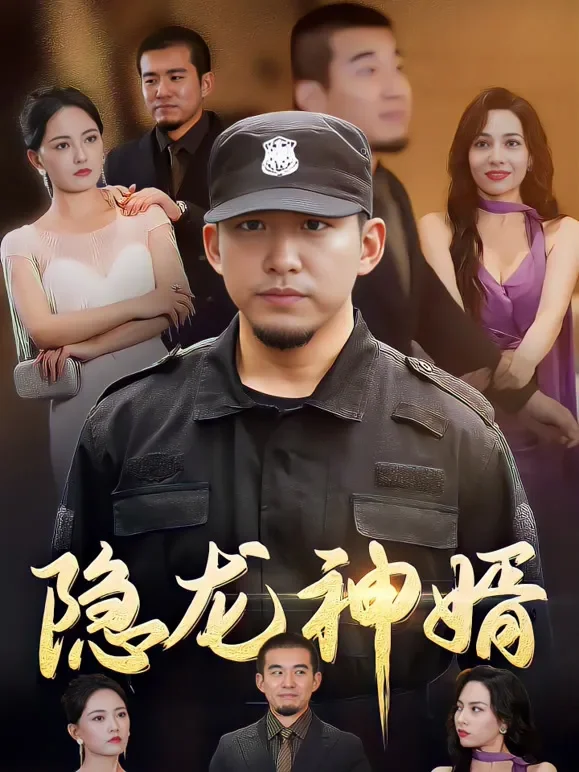 隐龙神婿短剧海报