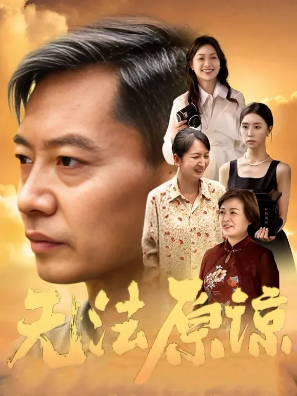 无法原谅短剧海报