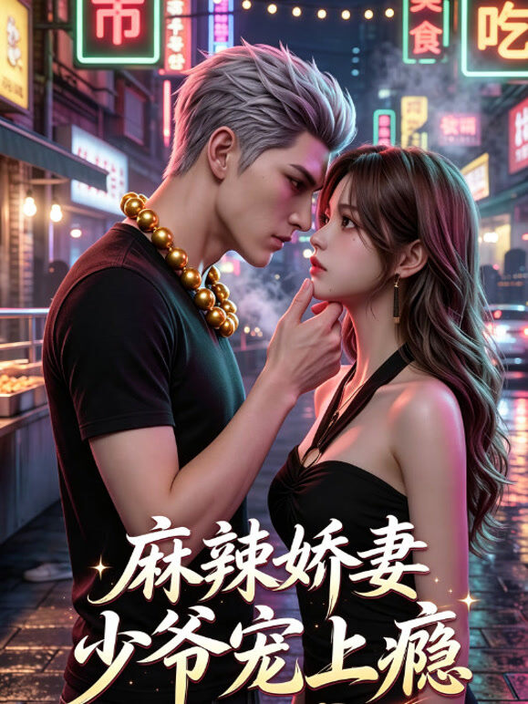 麻辣娇妻 少爷宠上瘾