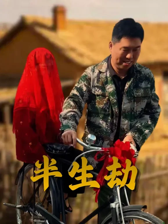 半生劫短剧海报