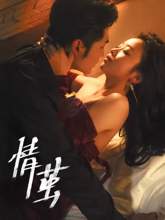 情茧短剧海报